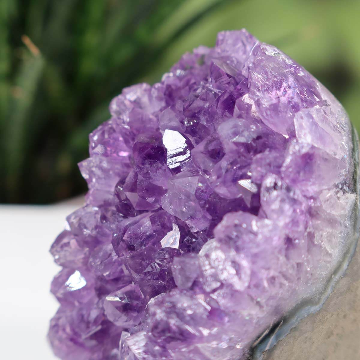 Close-up of a vibrant Uruguay Amethyst mini geode with deep violet crystals, Unikat NR 28