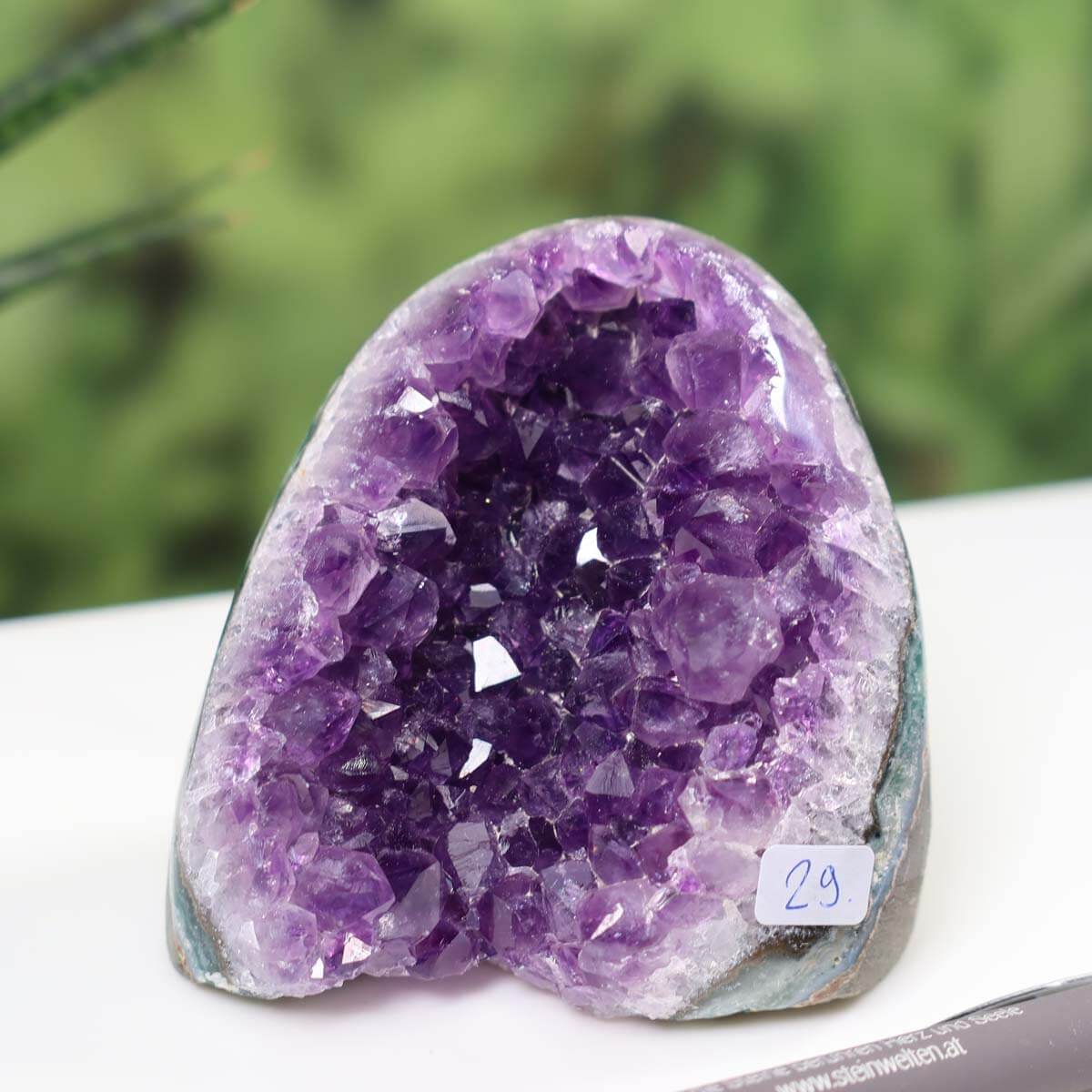 Intense purple Uruguay amethyst mini geode with natural crystal formation and label number 29 on a desk with a pen and plant background.