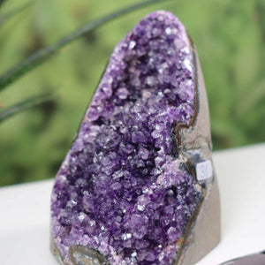 Uruguay Amethyst Mini Geode number 31 with deep violet crystals on display, showcasing intense sparkle and natural dark purple hues.