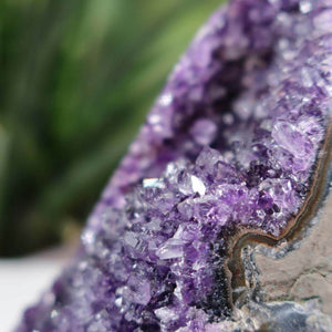 Close-up of Uruguay Amethyst Mini Geode showing intense purple crystals and natural geode patterns, Unikat NR 31.