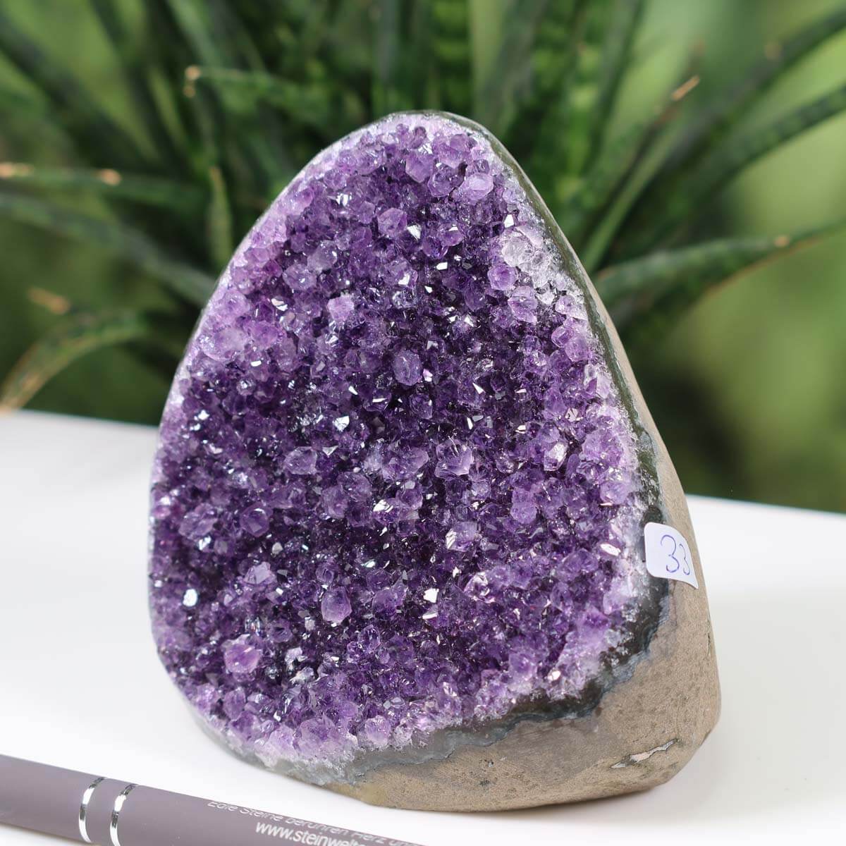 Mini Geode of Uruguay Amethyst, number 33, with intense purple crystals displayed against a green plant background.