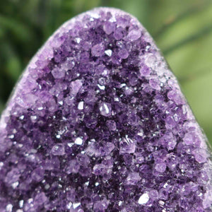 Close-up of a Uruguay Amethyst Mini Geode showing deep purple crystals, Unikat NR 33