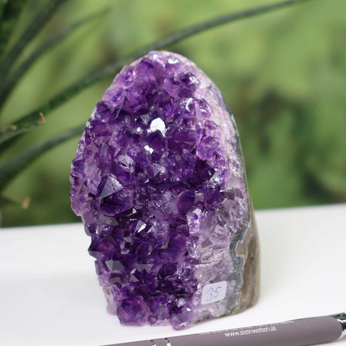 Uruguay Amethyst Mini Geode labeled "Unikat NR 35" with deep violet crystals on display, showing intense sparkle and natural formation.