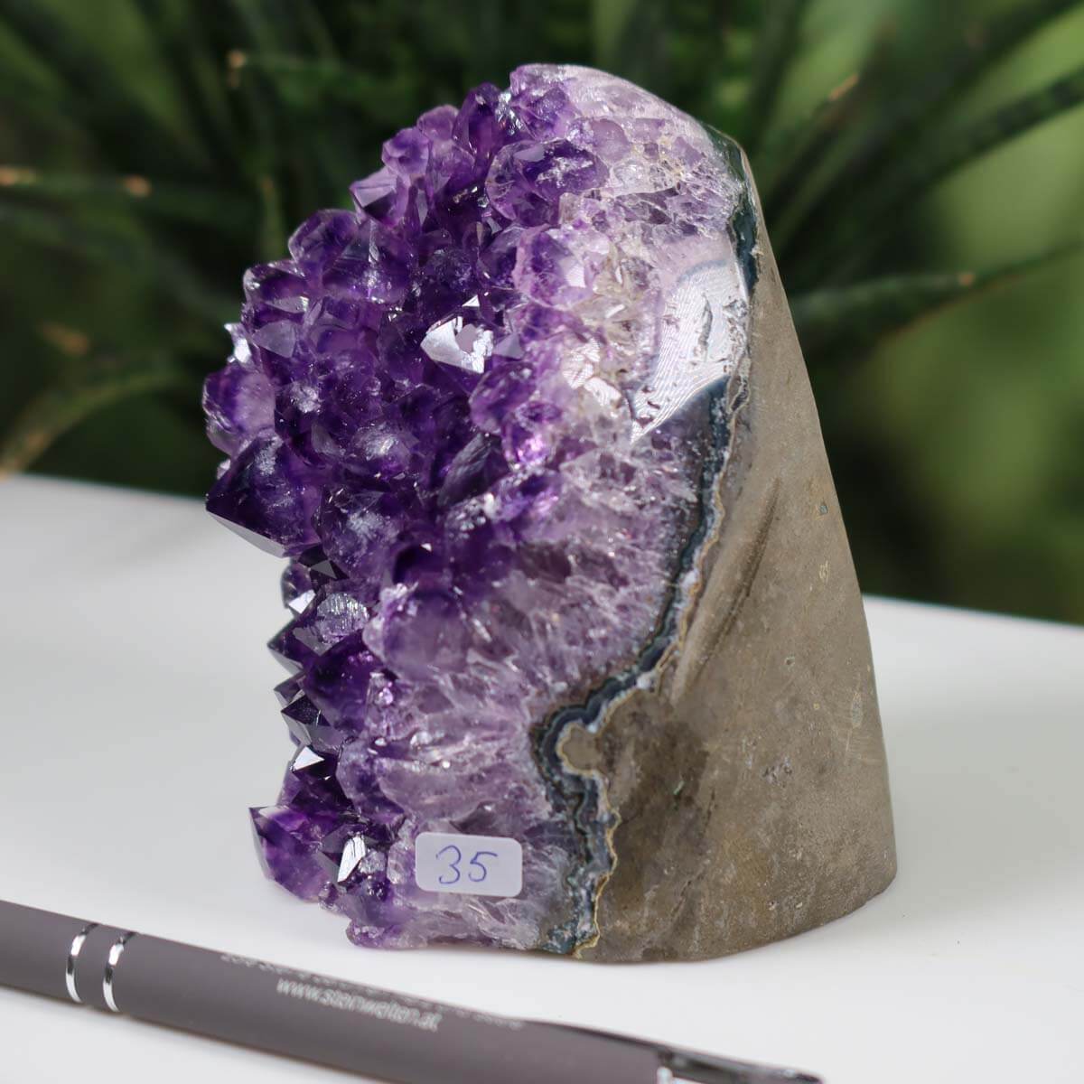 Uruguay Amethyst Mini Geode with deep purple crystals, labeled as unique item number 35, displayed against a green foliage background.