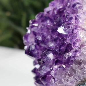 Close-up of a Uruguay Amethyst Mini Geode showcasing intense violet crystals, unique item number 35