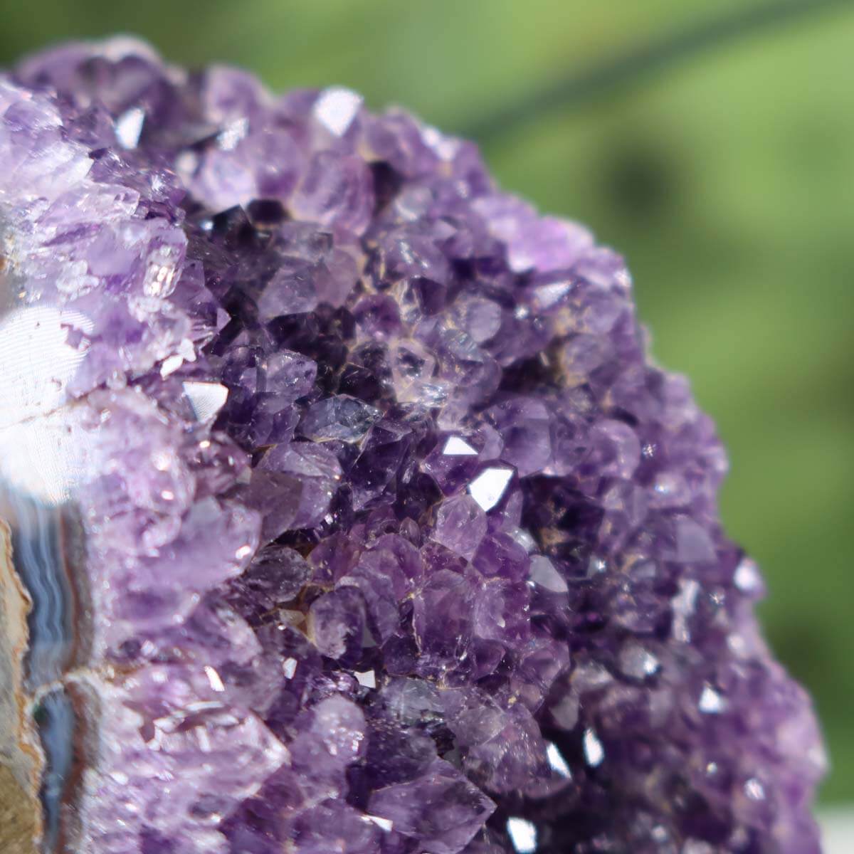 Close-up of a dark violet Uruguay Amethyst mini geode showing intense, regular crystal formation