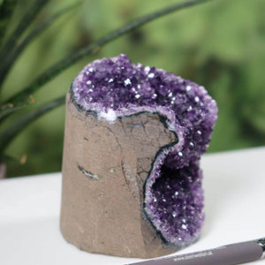 Mini Geode of Uruguay Amethyst displaying intense violet crystals, unique specimen NR 37 on a natural backdrop.