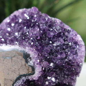 Close-up of Uruguay Amethyst Mini Geode with intense violet crystals, Unikat NR 37