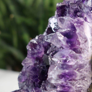 Close-up of a Uruguay Amethyst Mini Geode showing deep purple crystals, unique piece NR 39.