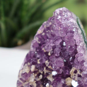 Close-up of an Uruguay Amethyst mini geode showing intense purple crystals, Unikat NR 3