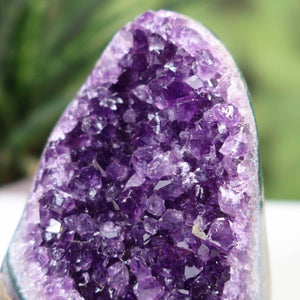 Close-up of a vibrant, deep purple Uruguay Amethyst Mini Geode showcasing intensely colored crystals.