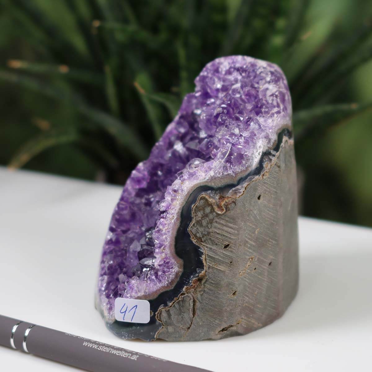 Uruguay Amethyst mini geode with intense purple crystals and unique number 41 label on display