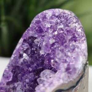 Close-up of a Uruguay Amethyst Mini Geode with intense purple crystals, Unikat NR 41