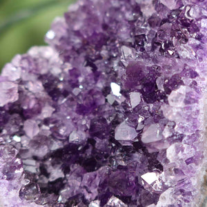 Close-up of Uruguay Amethyst Mini Geode showcasing deep violet crystals, highlighting intense sparkle and natural structure, Unique Piece NR 42.