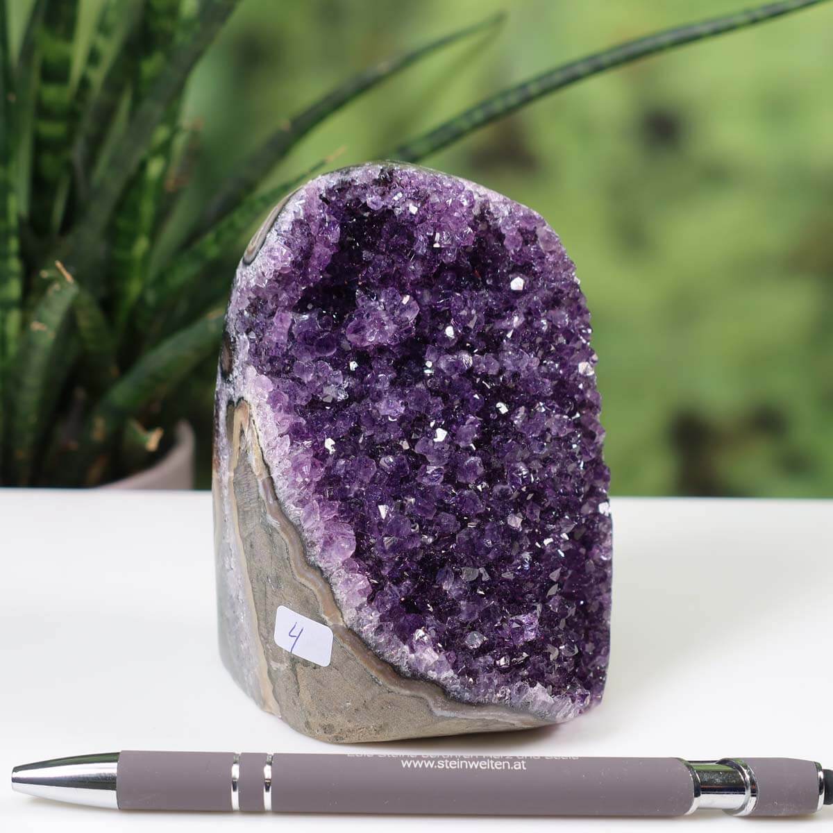 Mini Uruguay Amethyst Geode displaying intense violet crystals with a pen for scale on a desk with a plant in the background