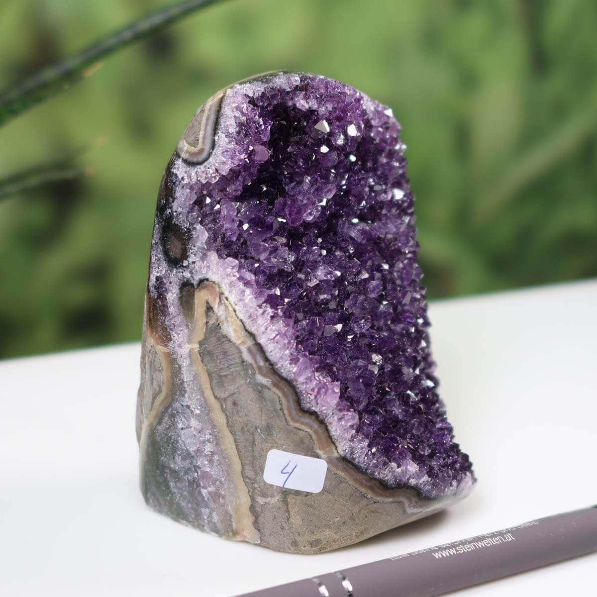 Mini Uruguay Amethyst Geode displaying intense violet crystals with a pen for scale on a desk with a plant in the background