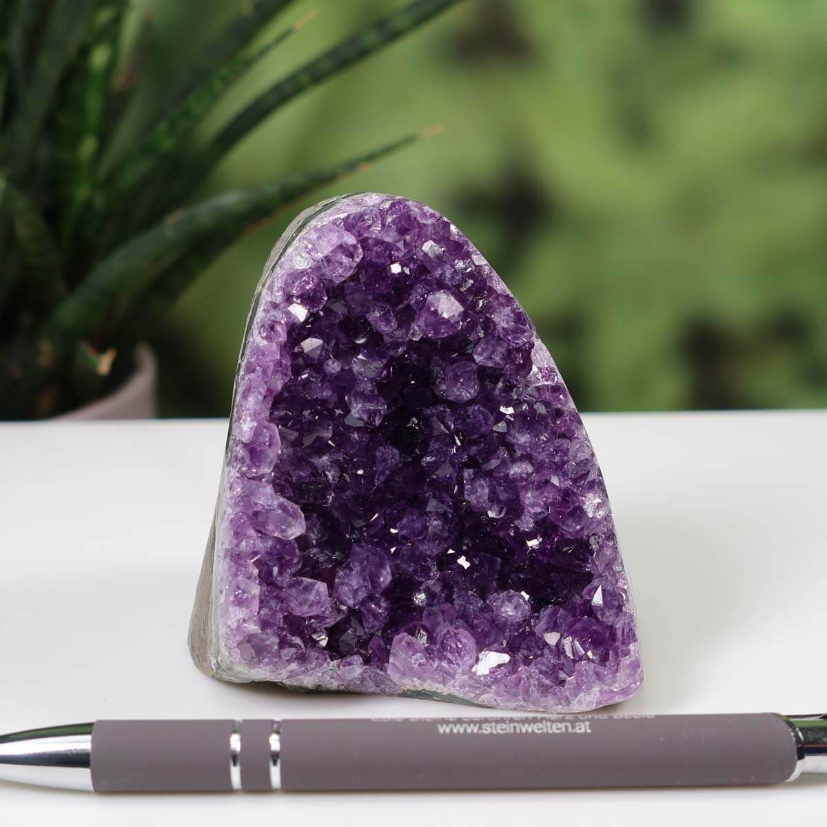 Uruguay Amethyst mini geode with deep purple crystals on a white surface, pen for scale, green plant in background