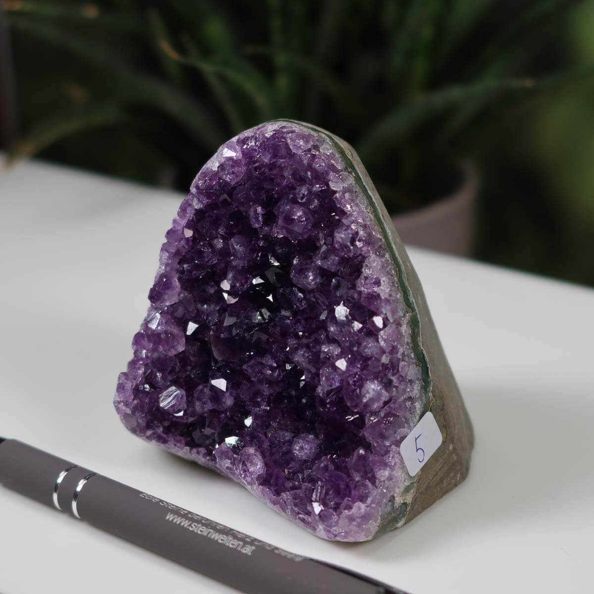 Uruguay Amethyst mini geode with deep purple crystals on a white surface, pen for scale, green plant in background