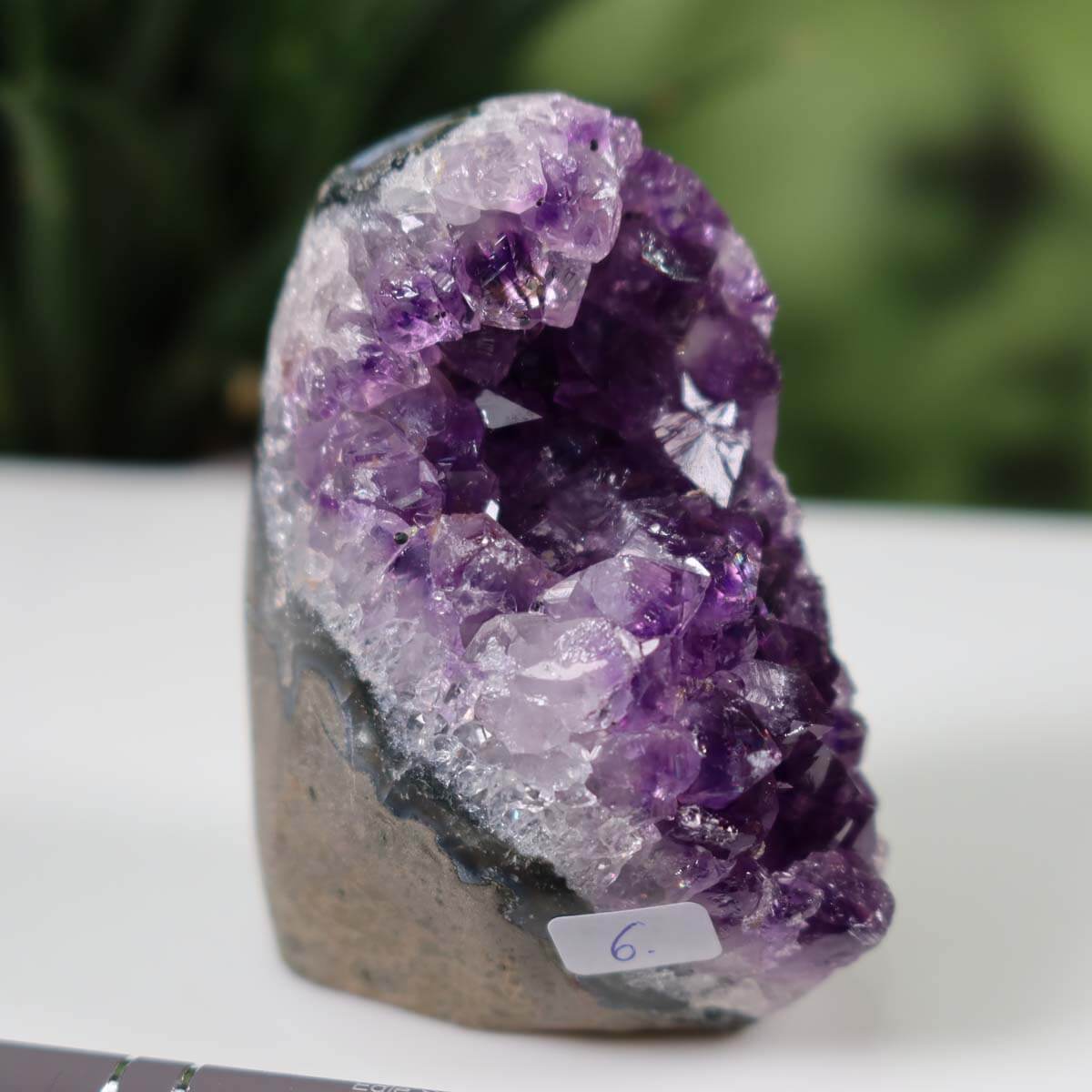 Intense purple Uruguay Amethyst mini geode, unique item number 6 with deep colored crystals on white background.