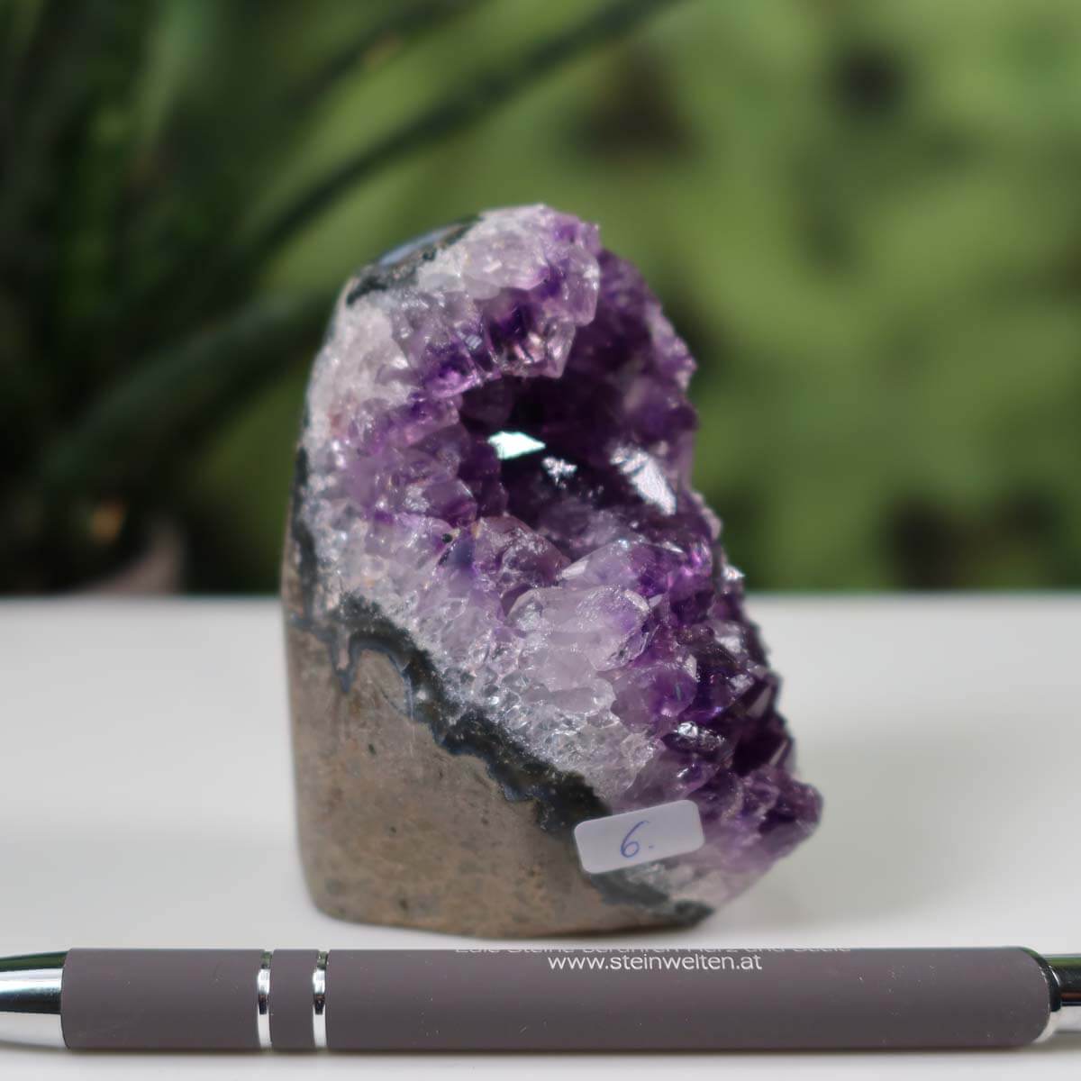 Intense purple Uruguay Amethyst mini geode, unique item number 6 with deep colored crystals on white background.