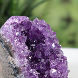 Close-up of a Uruguay Amethyst Mini Geode showcasing deep violet crystals, intense sparkle, unique piece NR 7.