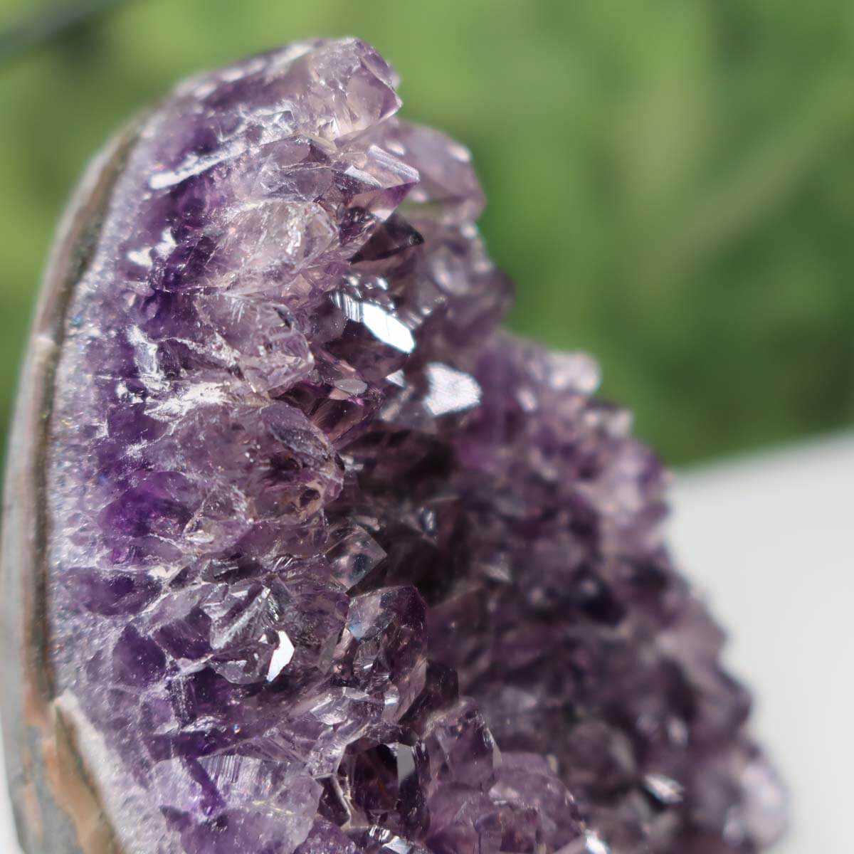 Dark, vivid violet Uruguay Amethyst mini geode, labeled "Unikat NR 8", displayed on a white surface, showing natural crystal formations.