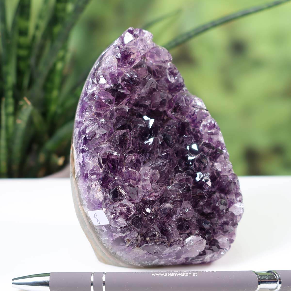 Intense purple Uruguay Amethyst mini geode displayed on a white surface with green plant background.