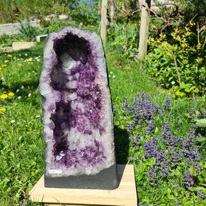 Amethyst Druse Nr. 62