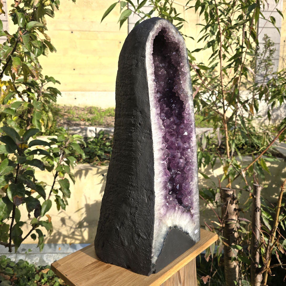 Amethyst Druse kaufen 