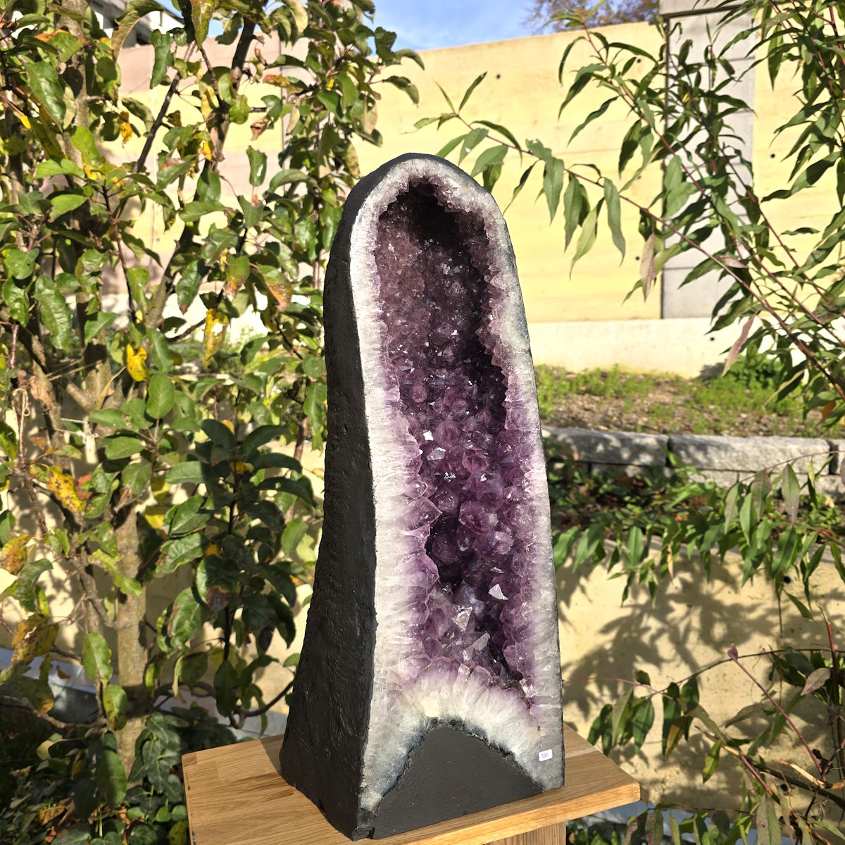 Amethyst Druse kaufen 