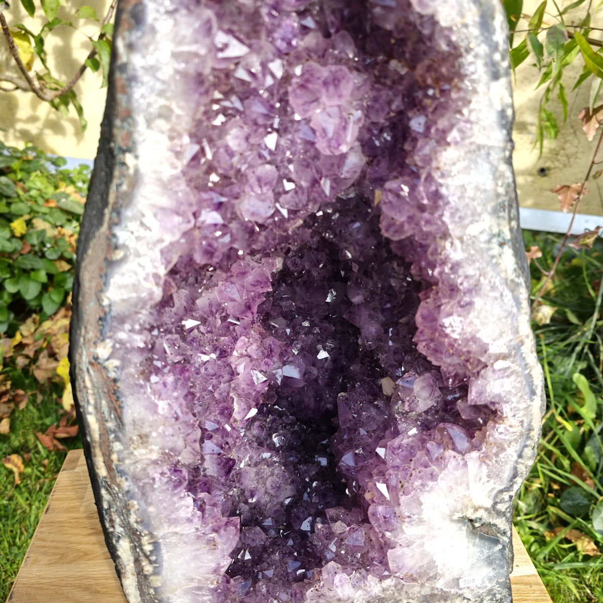 Amethyst von Brasilien 