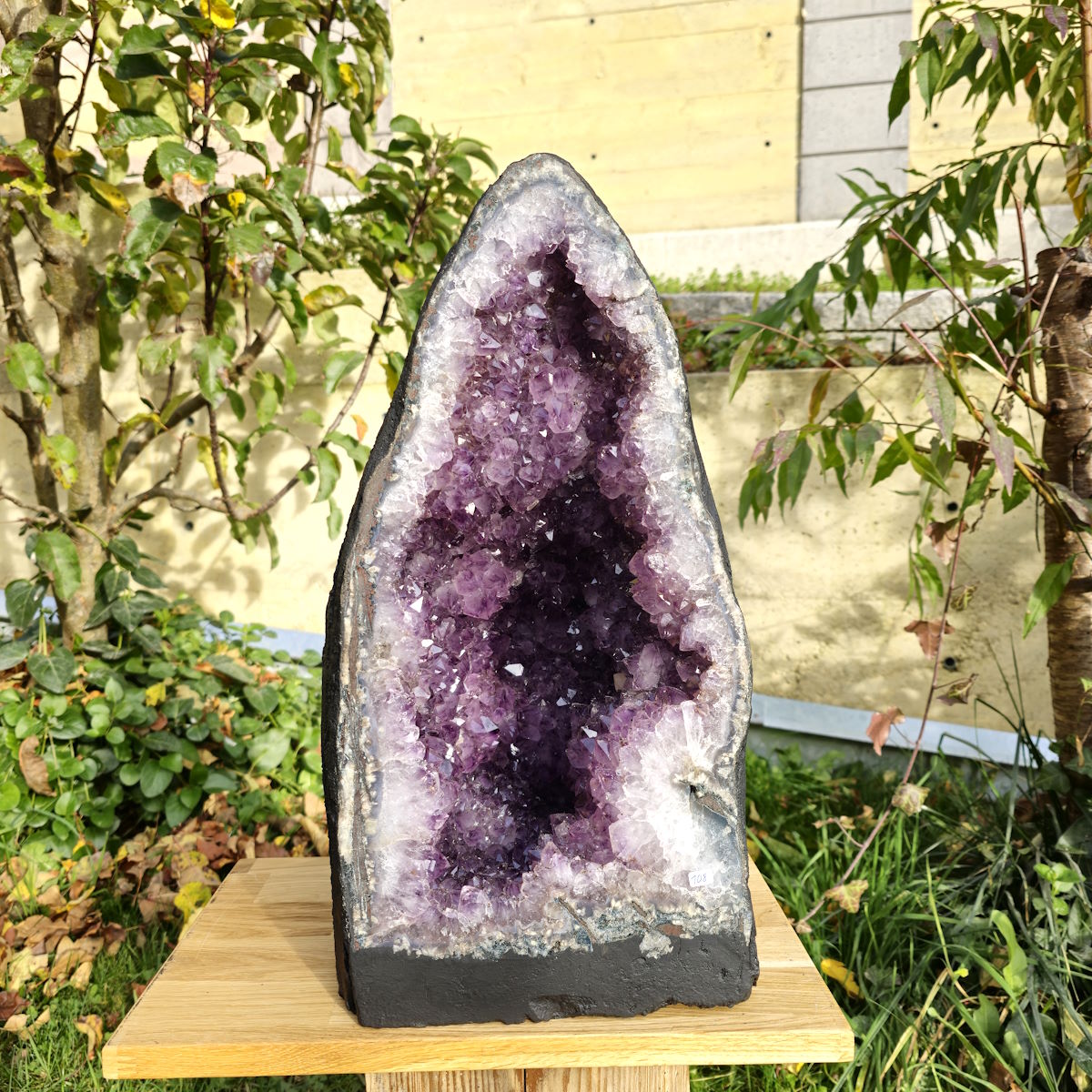 Amethyst von Brasilien 