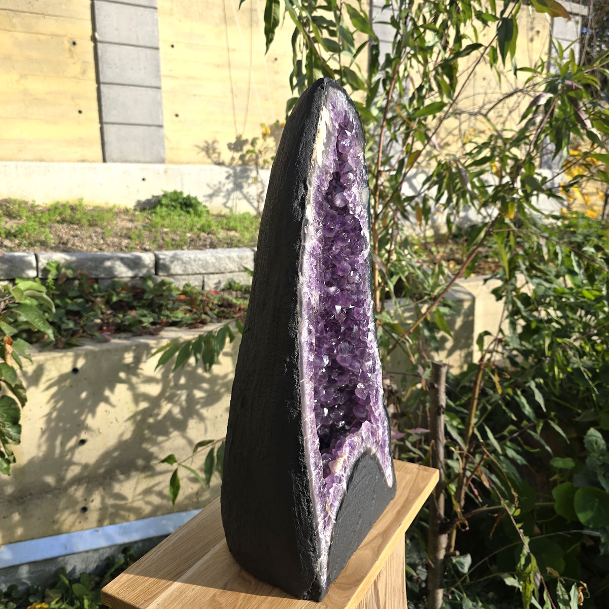 Amethyst Druse kaufen bei Steinwelten 