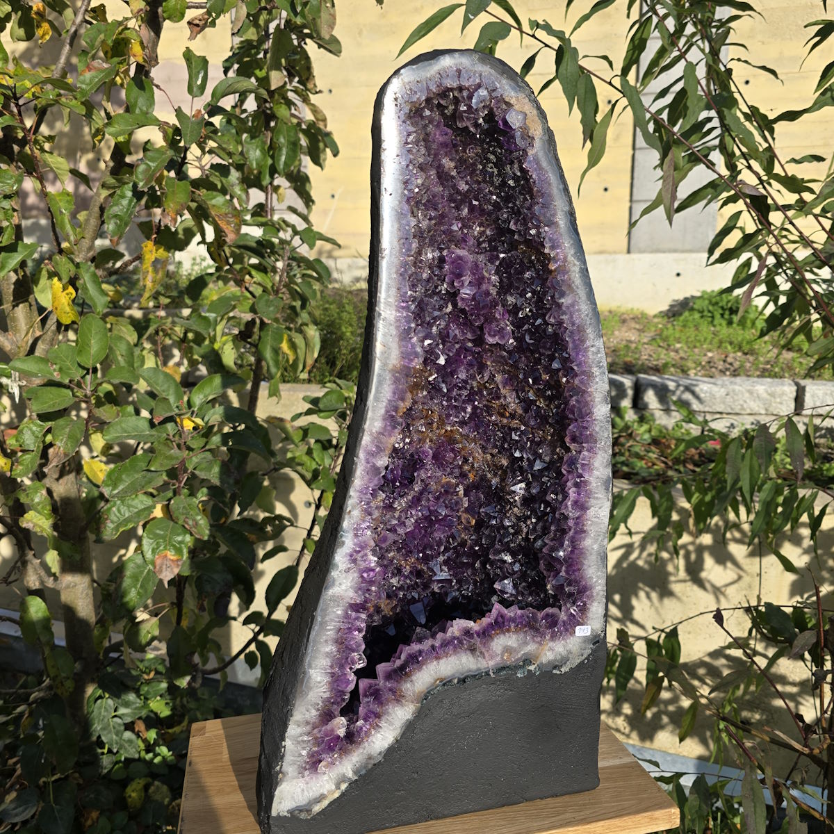 Amethyst Druse groß