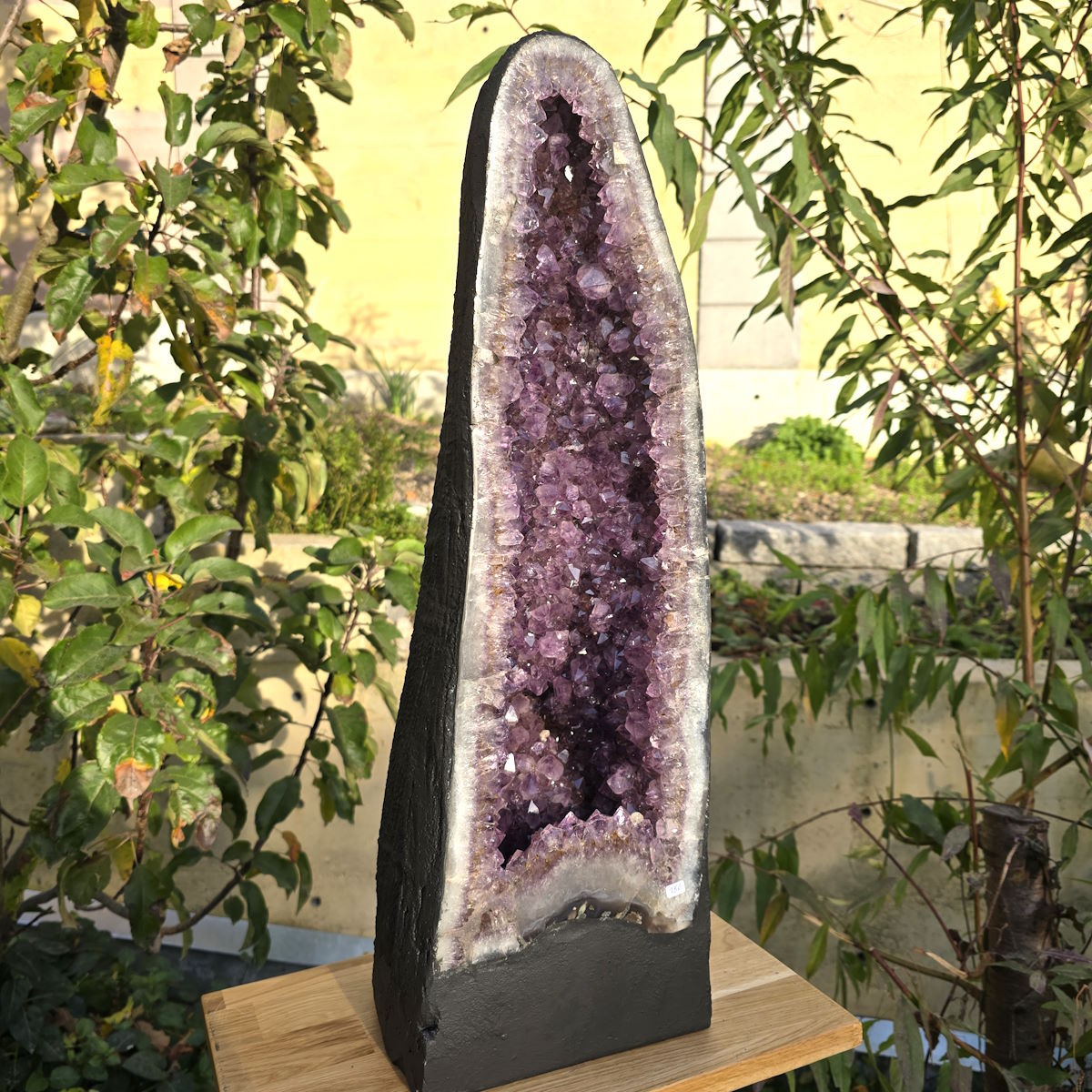 Amethyst Druse bei Steinwelten kaufen 