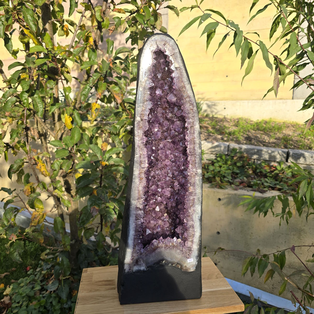 Amethyst Druse bei Steinwelten kaufen 