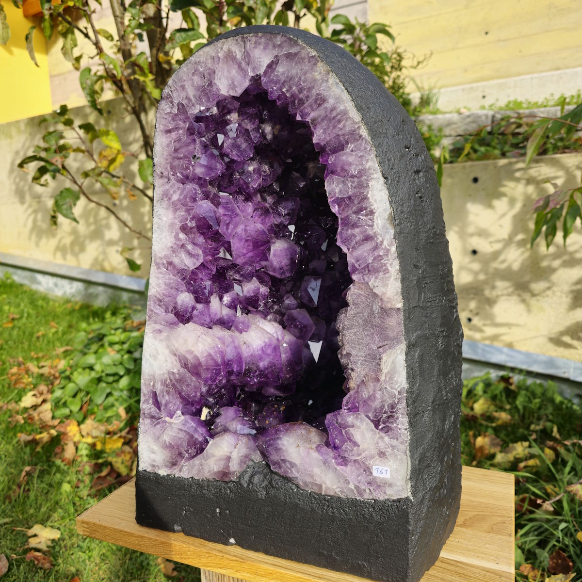 Amethyst Drusen Fachgeschäft 