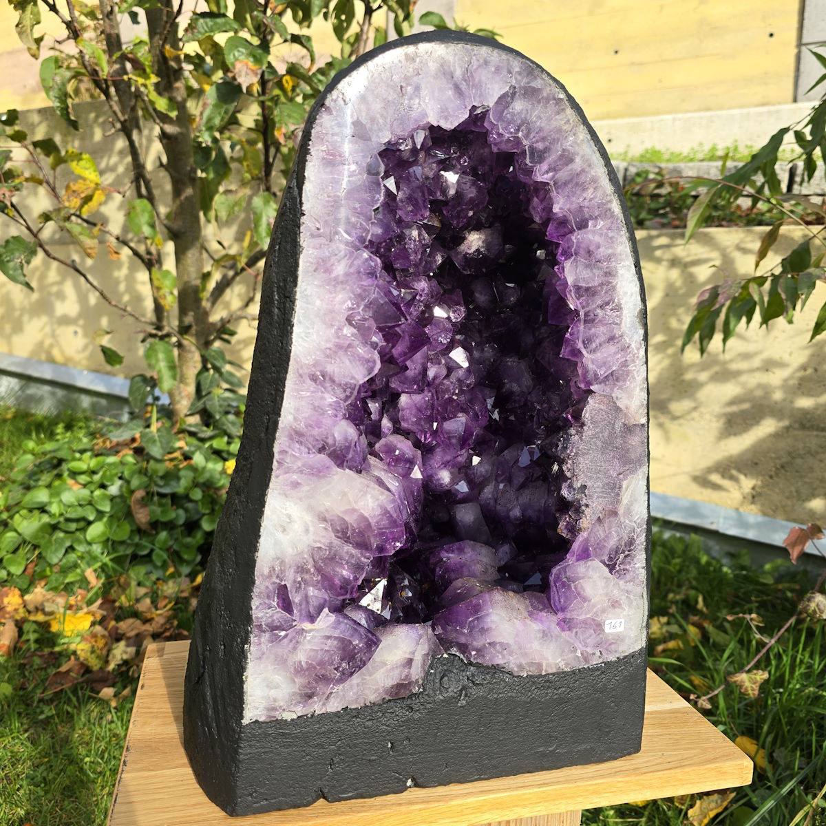 Amethyst Drusen Fachgeschäft 