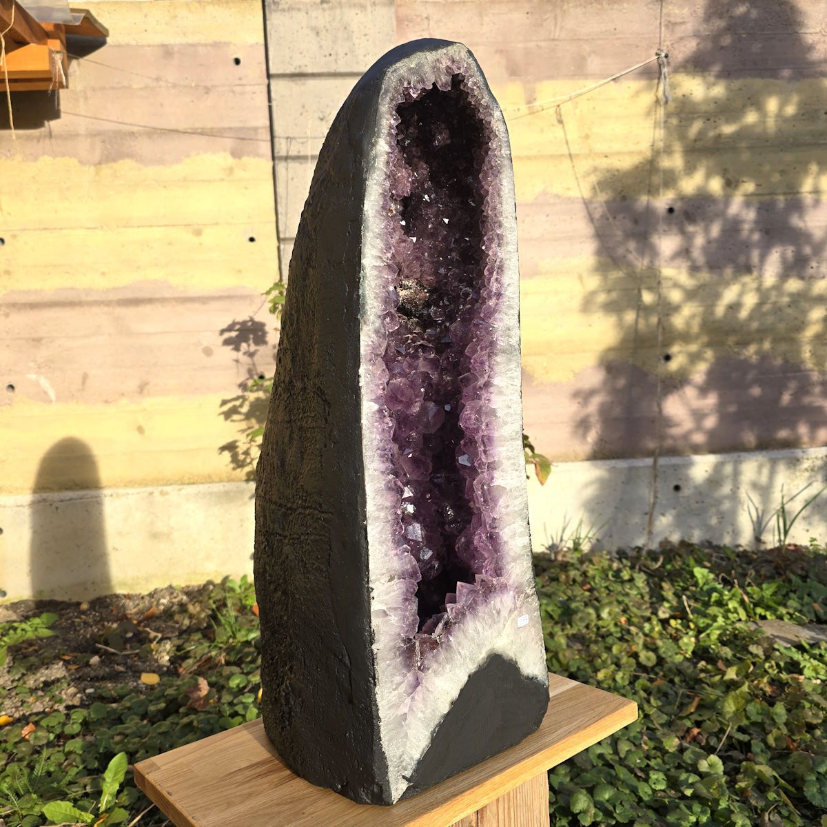 Amethyst Geode 