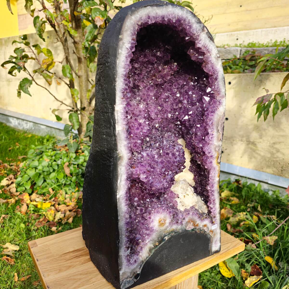 Amethyst Geode 