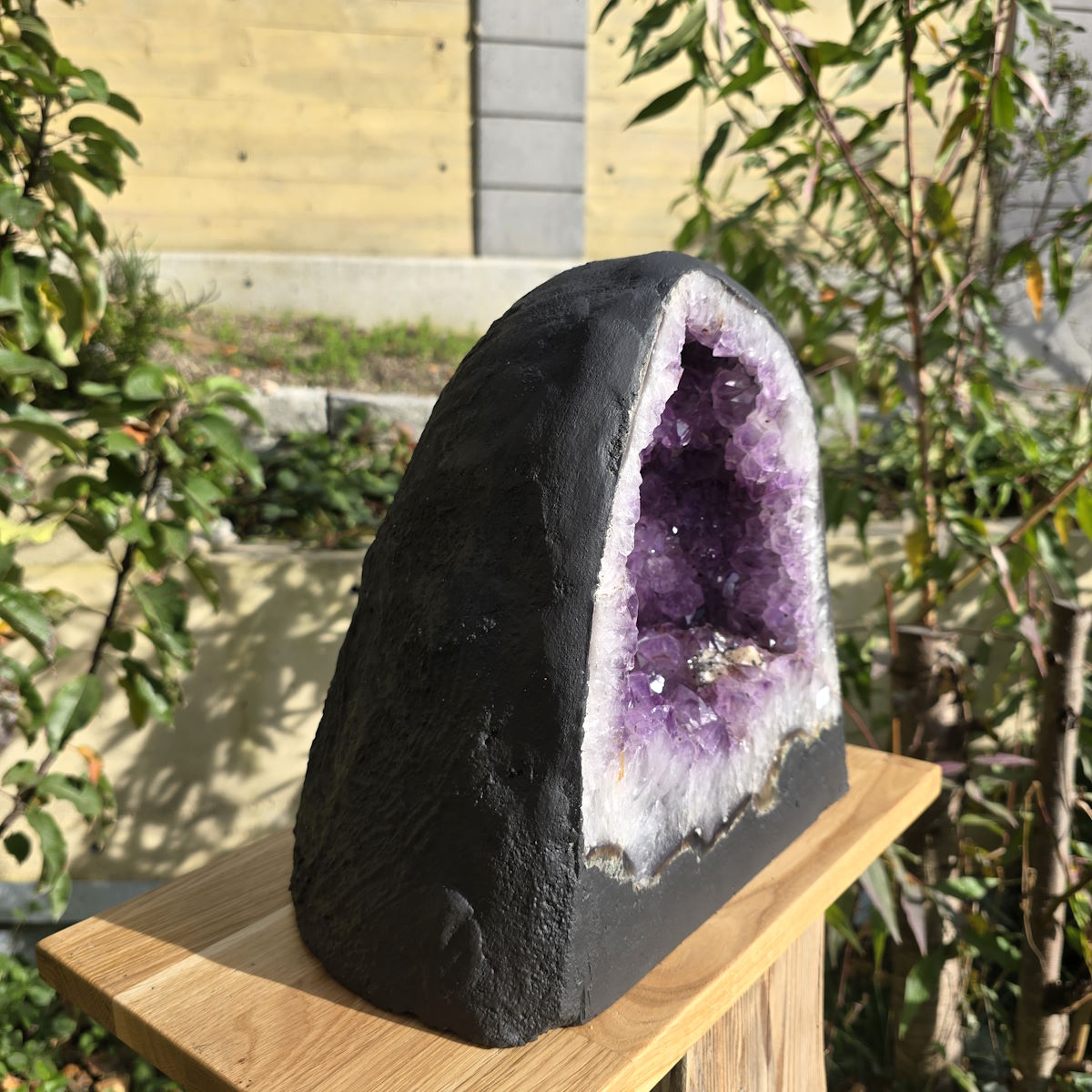 Amethyst Drusen von Steinwelten 