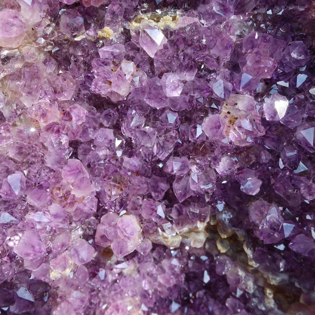 Kristalle aus Amethyst 