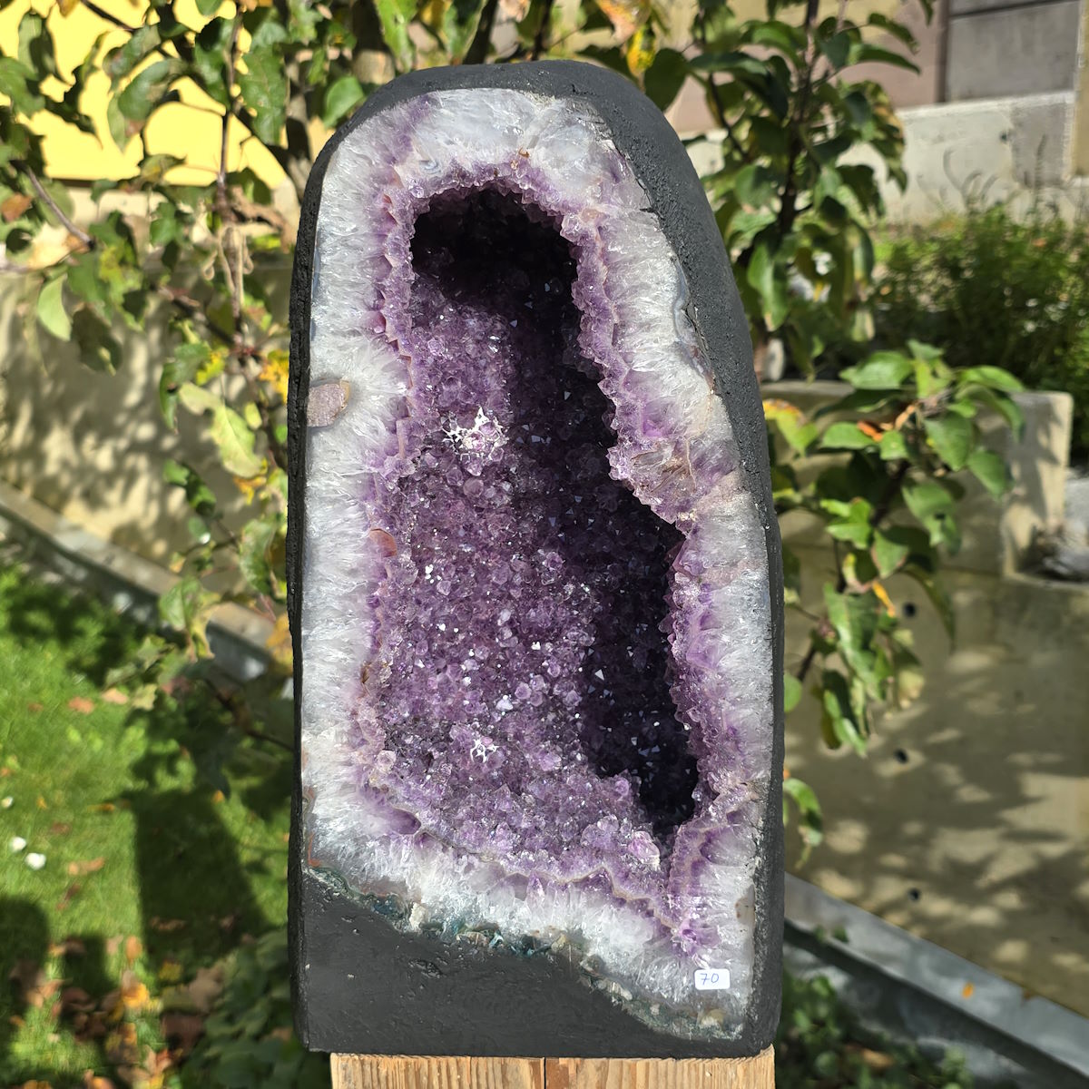 Amethyst kaufen Steinwelten 