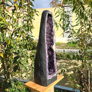 Geoden Amethyst 