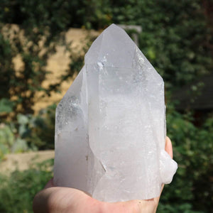 Hand holding a clear Bergkristall Quarz Spitze with natural shine, polished for clarity and meditation, standing in a green outdoor setting.
