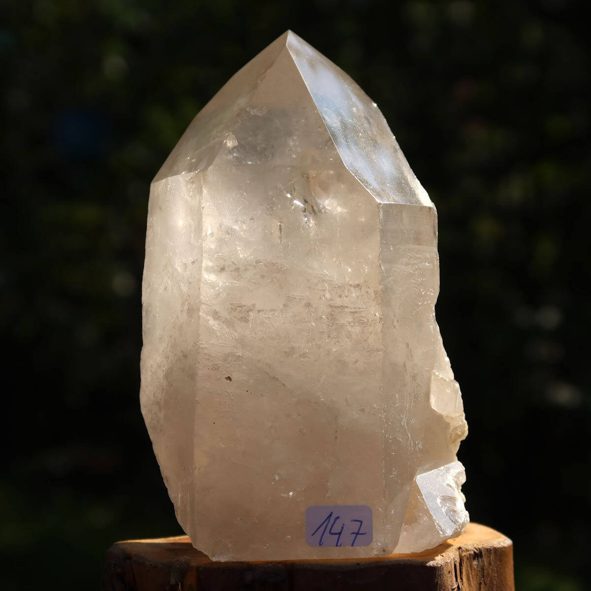 Bergkristall Quarz Spitze Unikat Nr. 147 aus Brasilien, 10x5 cm, geeignet für Klarheit und Meditation, in natürlichem Licht gehalten.