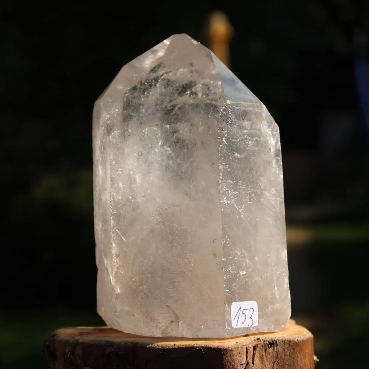 Hand holding a polished quartz crystal point from Brazil, measuring 10x7 cm, against a natural outdoor background.