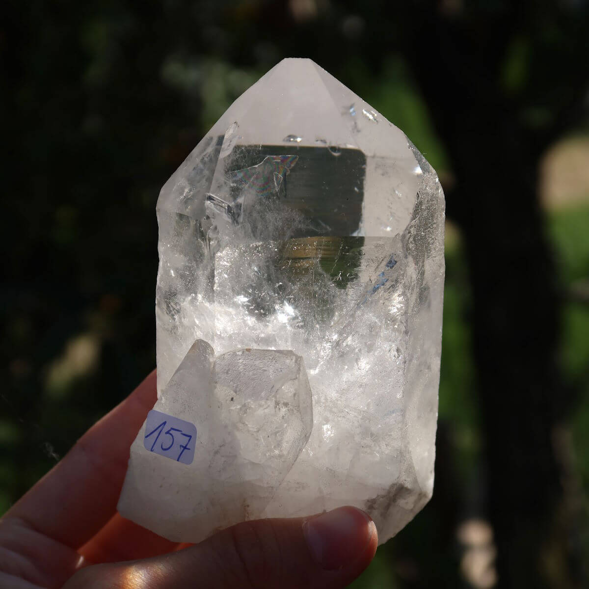 Clear quartz crystal point from Brazil with unique facets, standing on wooden base, labeled number 157, ideal for clarity and meditation.