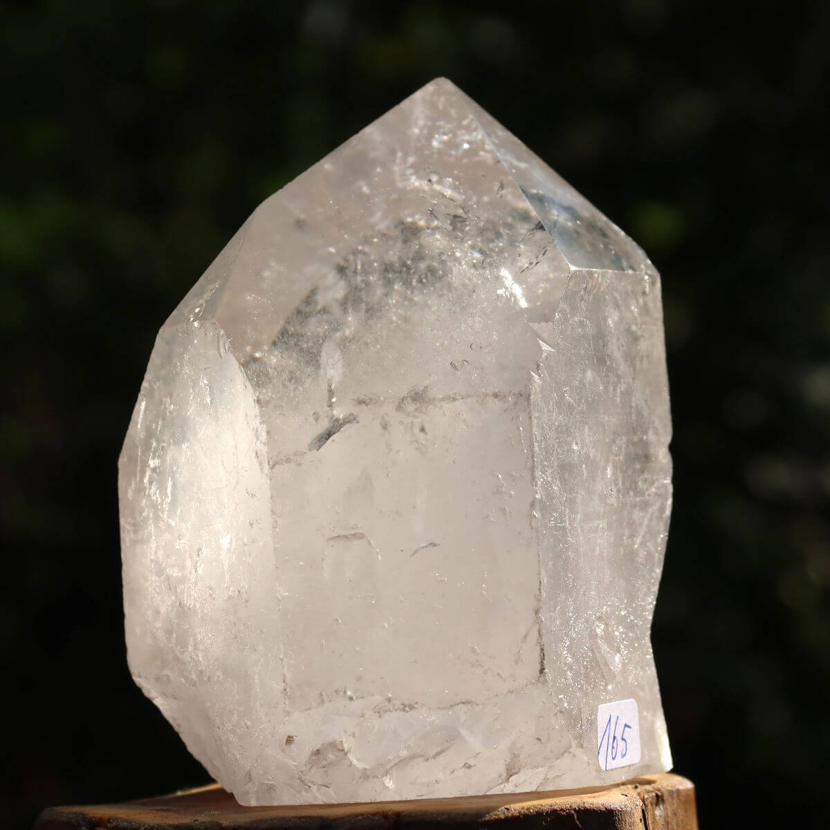 Clear quartz crystal point from Brazil, standing on a wooden surface, labeled with number 165.