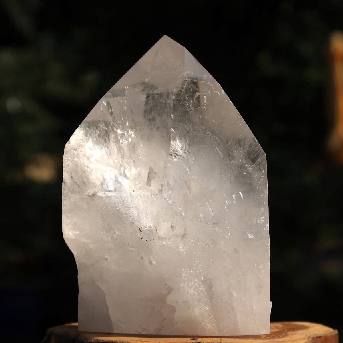 Hand holding a clear polished quartz crystal point, emphasizing its natural clarity and facets, against a green foliage background.